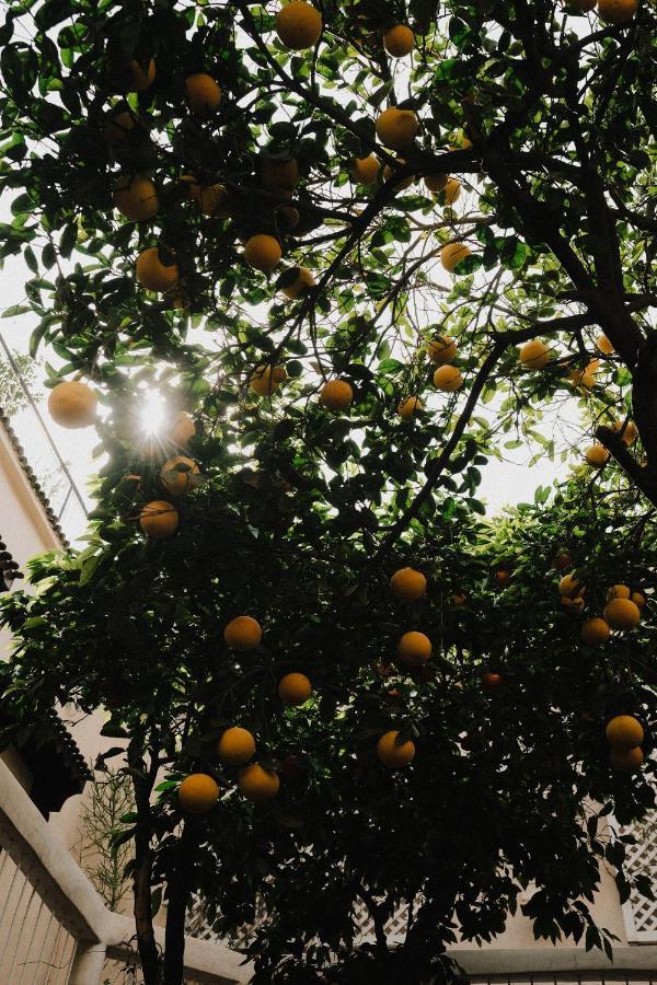 Riad Maison 24 Μαρακές Εξωτερικό φωτογραφία